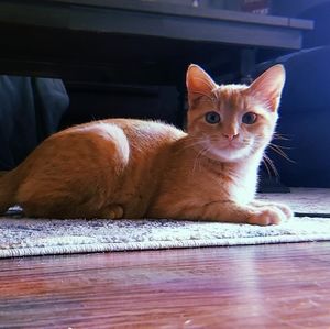 Meet your Posher, Kristen